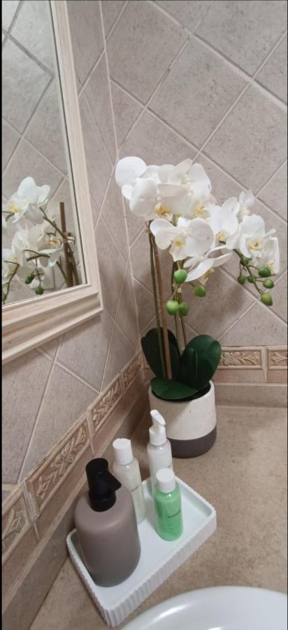 Recanto Das Tertulias - Apartamento 3 Quartos - Perfeito Para Familias E Amigos Apartment ลากอส ภายนอก รูปภาพ